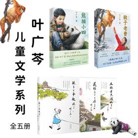 学校推荐阅读 叶广芩作品全系列 丫丫三部曲 动物与孩子