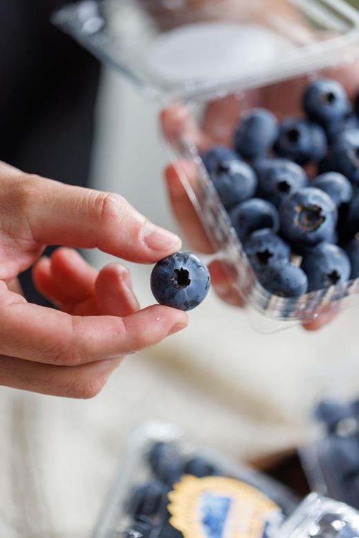 又脆又甜｜云南花香蓝莓（L25） 商品图1