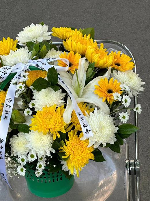 【清明囤货款】塑料绿提篮（大号/小号）黄提篮【团购咨询客服 /扫码下单】 商品图6