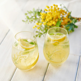 【东洋佐佐木】hanafumi系列对杯