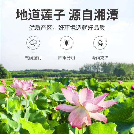 五星磨皮白莲250g/瓶 商品图8