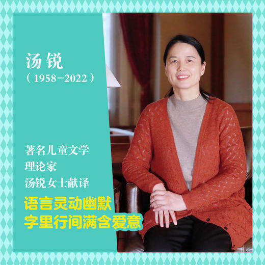 迪卡米洛暖心小说系列（全六册，附赠精读导读手册） 接力社 商品图7