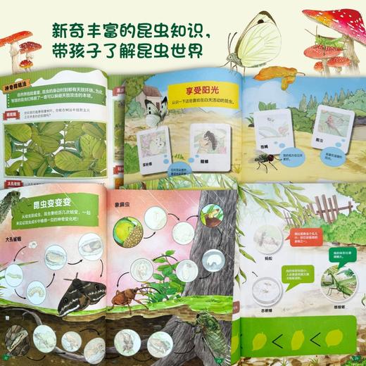 昆虫世界1000个奇趣贴纸全收藏 多规格 共两册 商品图5