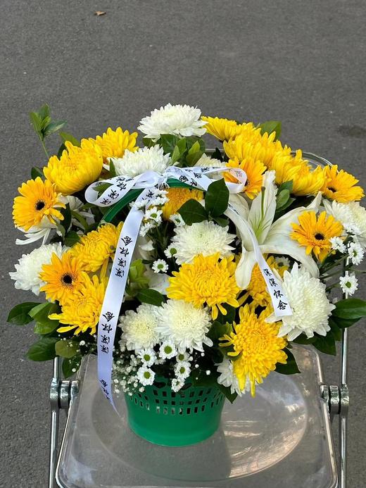 【清明囤货款】塑料绿提篮（大号/小号）黄提篮【团购咨询客服 /扫码下单】 商品图1