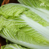 生态娃娃菜 | 绿家自产* Organic baby cabbage | Self-production 商品缩略图3