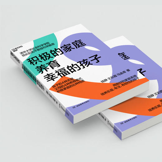 积极的家庭养育幸福的孩子 商品图3