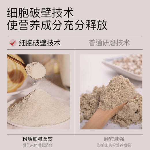 羽心堂 铁棍山药粉 15g*10袋/盒 2盒/3盒/5盒/10盒 商品图3