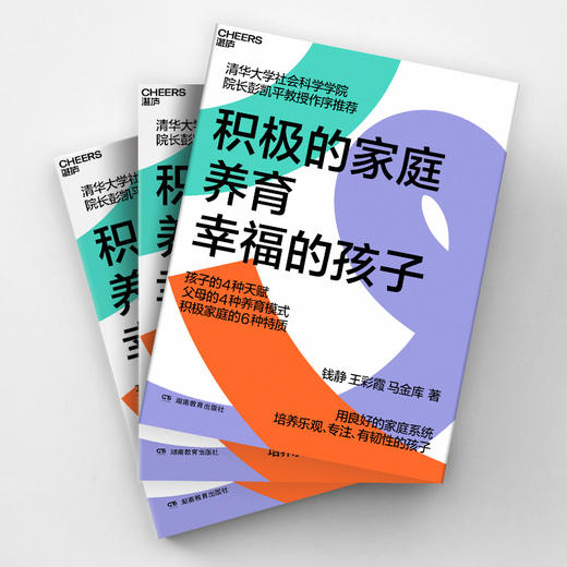 积极的家庭养育幸福的孩子 商品图2