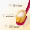 惠百施牙刷48孔牙刷65孔舒适倍护宽头牙刷 商品缩略图1