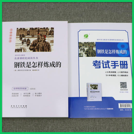 钢铁是怎样炼成的【八年级下】初中语文配套名著课程化阅读丛书 商品图1