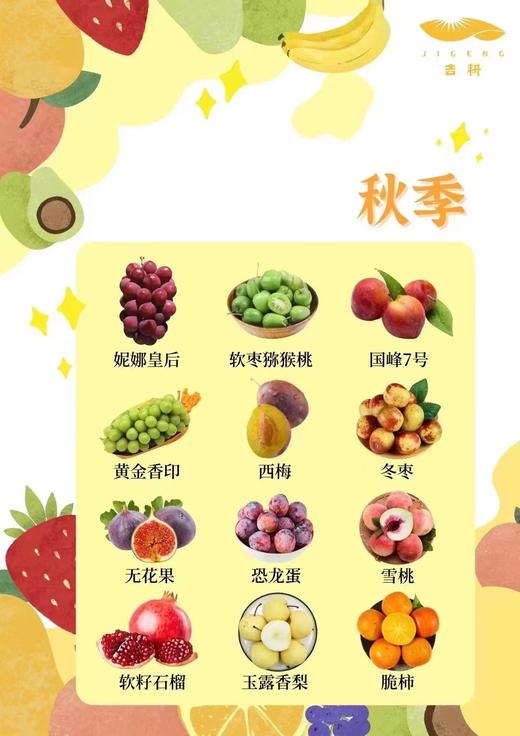 吉耕 高端水果电子卡 全年供应48箱水果 每周不重复 新鲜采摘送货上门 商品图2