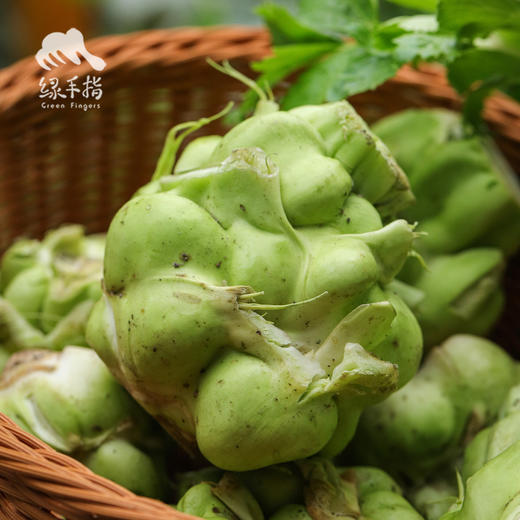 生态榨菜头/青菜头 | 绿家自产*Eco-crassicaulis mustard | Self-production 商品图4