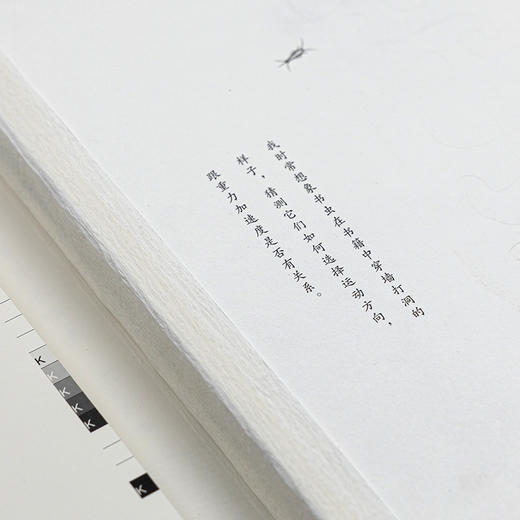 寻蟫记 / 寻芸记  陈涌海 著 商品图8