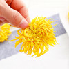 金丝皇菊（菊花） 商品缩略图1