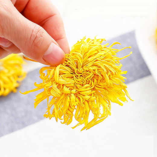 金丝皇菊（菊花） 商品图1