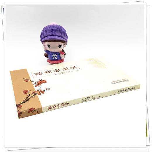 纂要经验录 (清) 廖诚菴 著 无聊斋主人小中医整理 中国中医药出版社 商品图2