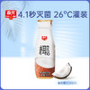 春光椰子汁245ml【49元任选7件 会员专享】 商品缩略图0