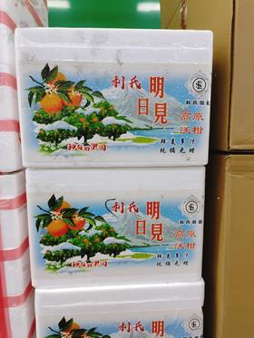 利氏明日见沃柑一箱