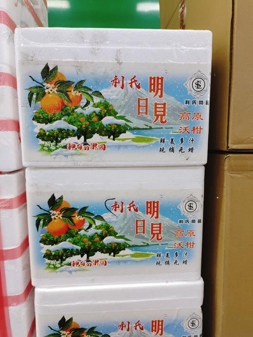 利氏明日见沃柑一箱 商品图0