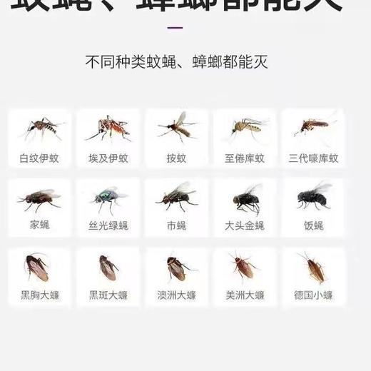 买二送一【居家必备！灭蚊良器】室内迷你灭苍蝇灯，娇小迷你；独创光子流虫技术，家中无毒无害；卧室、餐厅、书房、学生宿舍，蚊虫杀一空！ 商品图4