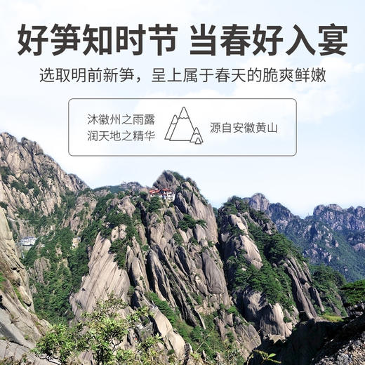 黄山笋干（玉兰片）400g/袋装 商品图7