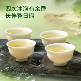 京东京造鲜来多信阳毛尖绿茶250g明前茶叶栗香嫩芽送礼盒自己喝自营