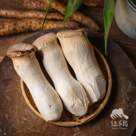 有机杏鲍菇 | 绿家自产* Ecological abalone mushroom | Self-production