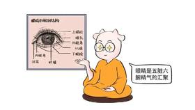  古人都在用的“护 眼方”，经常用眼的孩子要常喝 