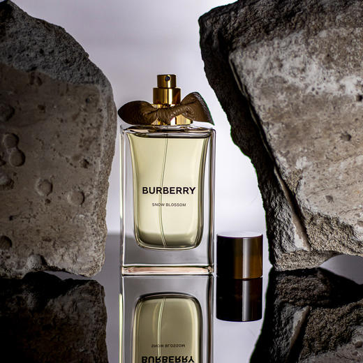 巴宝莉 植境花语高定系列-凛冬之花 Burberry Snow Blossom 分装 商品图3