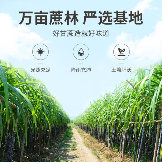 方家铺子 黄冰糖100g*3袋装 商品图8