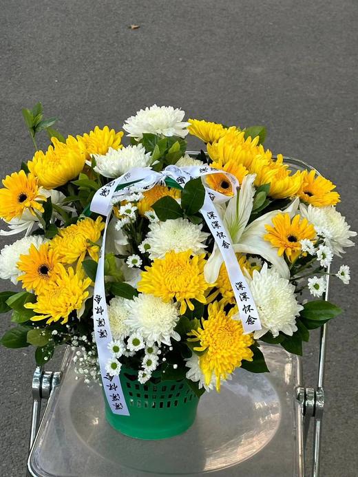 【清明囤货款】塑料绿提篮（大号/小号）黄提篮【团购咨询客服 /扫码下单】 商品图7