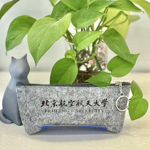 毛毡笔袋 商品图1