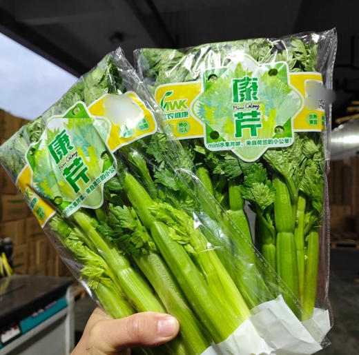 云南高原~水果芹菜，高原有机肥种植！
叶柄娇嫩壮硕、清香、无筋无丝、脆爽爆汁!
炒菜、生食、榨汁
植株高度只有25厘米左右，汁水丰盈，脆嫩多汁，清香爽口，风味十足！350克/袋，一组两袋 商品图2
