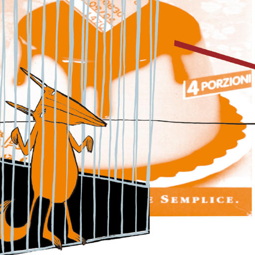 《吃书的狐狸》精装版/注音版（全4册）【赠绘本《孤熊华普的一生》1本】 商品图8