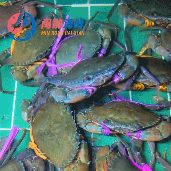 鲜活小膏蟹 /只