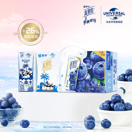 蒙牛真果粒牛奶饮品（蓝莓）250g*12 商品图2