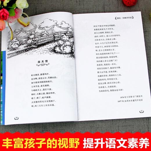 语文课本作家作品系列 《搭石》 非塑封 商品图5