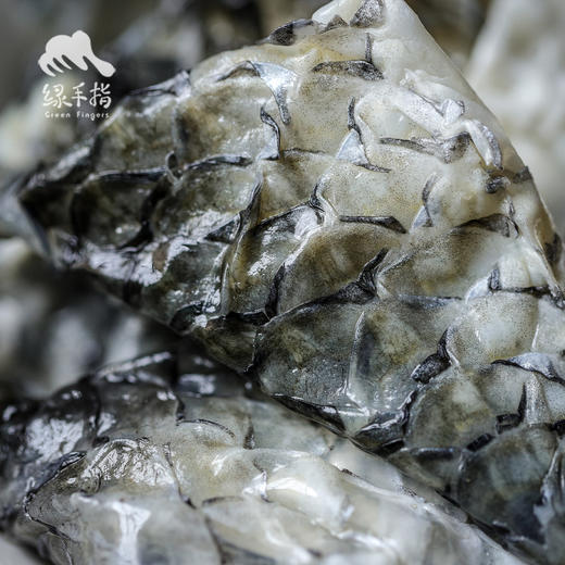生态鱼皮(方野厨房) | 绿家自产 *Eco-fish skin | Self-production 商品图1