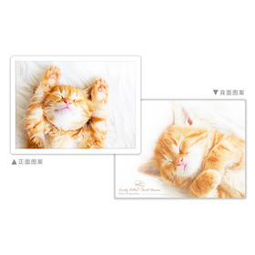 【折扣商品 不退不换】48片 双面拼图 HF1005 毛孩日記-貓咪的午睡時光