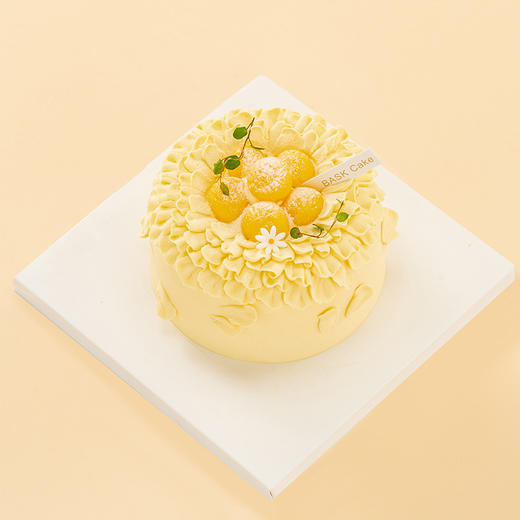装芒 商品图2
