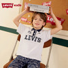 LEVIS 夏 大童小童婴童 POLO LVB-PL-H545 商品缩略图1