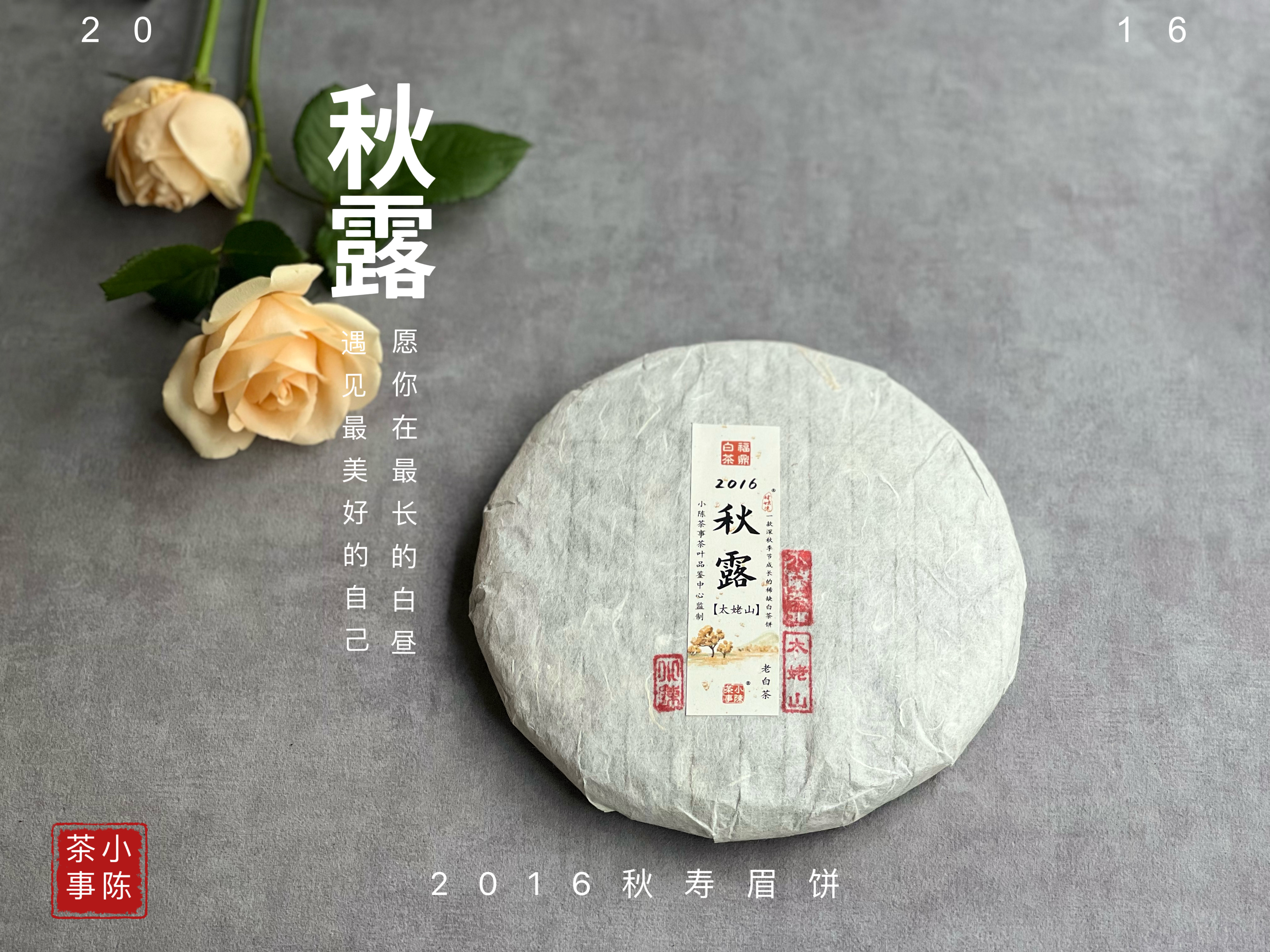 【珍藏级8年陈老白茶】2016深秋寿眉饼《秋露》，软、糯、汁液横流，诸香齐聚，尽显老白茶之岁月风华