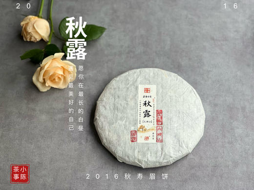 【珍藏级8年陈老白茶】2016深秋寿眉饼《秋露》，软、糯、汁液横流，诸香齐聚，尽显老白茶之岁月风华 商品图0