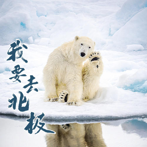 【我要去北极】“氧气旅行团”极地之旅订金 商品图0