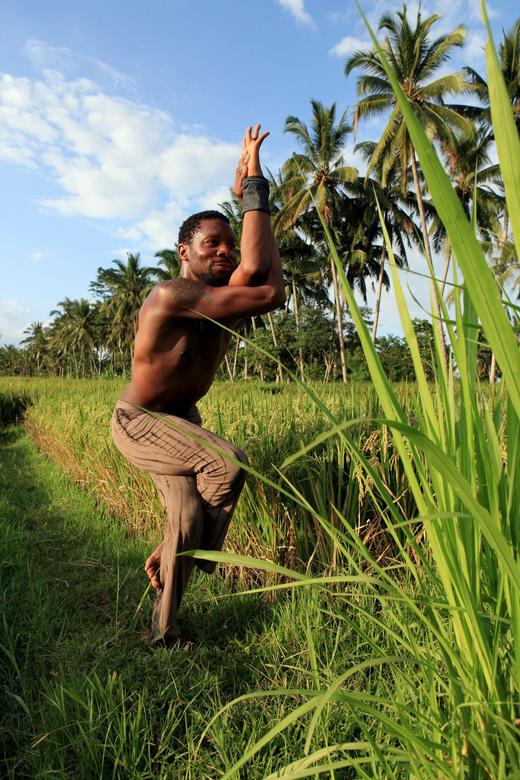 EX-020 拥抱内心和谐：小蜜蜂调息法 Embracing Inner Harmony with Bhramari Pranayama Fela Adebiyi 商品图3