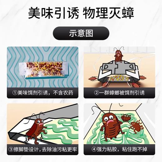 【特价秒杀】【2026-6-30】安速小强恢恢蟑螂屋（5枚装） 商品图0