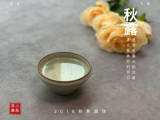 【珍藏级8年陈老白茶】2016深秋寿眉饼《秋露》，软、糯、汁液横流，诸香齐聚，尽显老白茶之岁月风华 商品图12