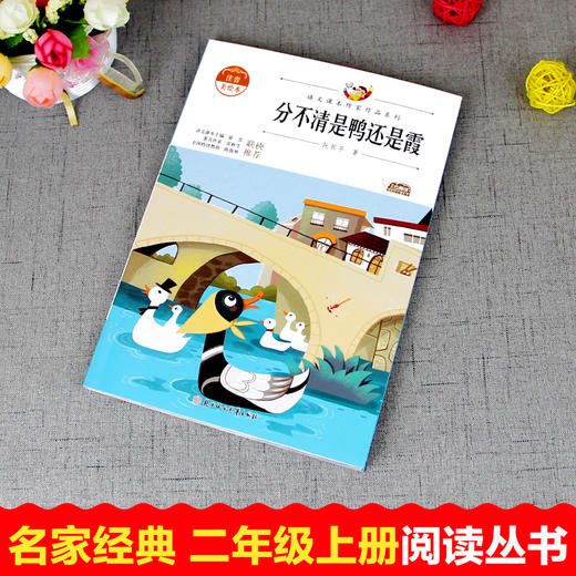 语文课本作家作品系列 《分不清是鸭还是霞》 非塑封 商品图1