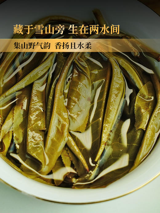 已售罄2024年春茶预售【小户赛】临沧勐库小户赛 “最贴近茶祖的地方” 高香四溢的早春鲜香普洱茶生茶 357克/饼 拍5发6拍20发25 商品图5