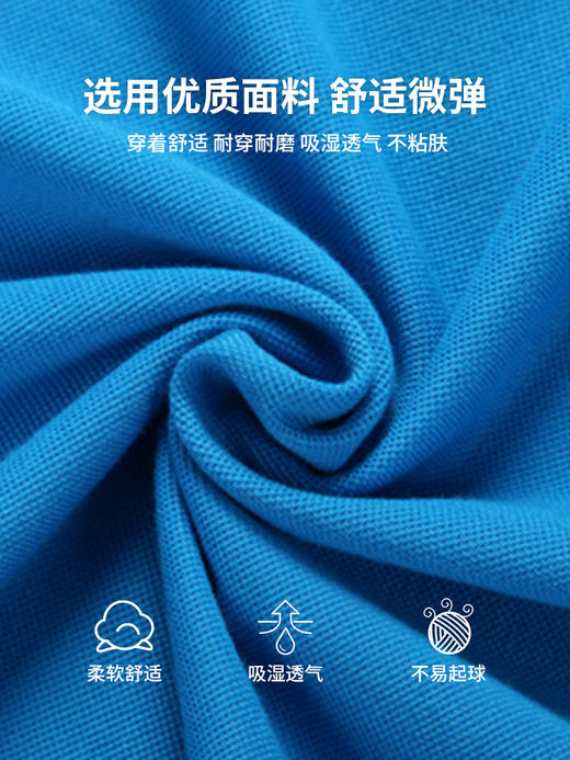 工作服t恤定制夏季企业文化polo衫公司聚会团体员工工装印字logo 商品图1